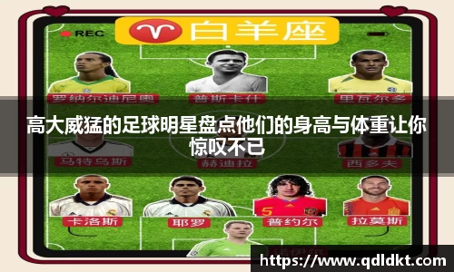 星空·综合体育官网